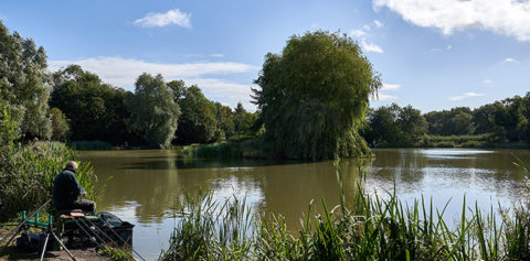 A view of Friezeland Pools