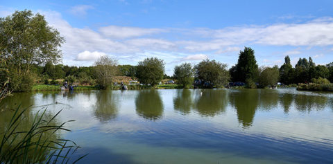 Friezeland Pools, from the fishery's own website