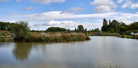 Friezeland Pools, from the fishery's own website