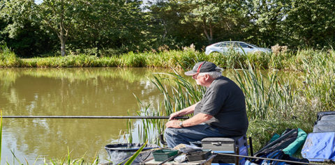 Friezeland Pools, from the fishery's own website